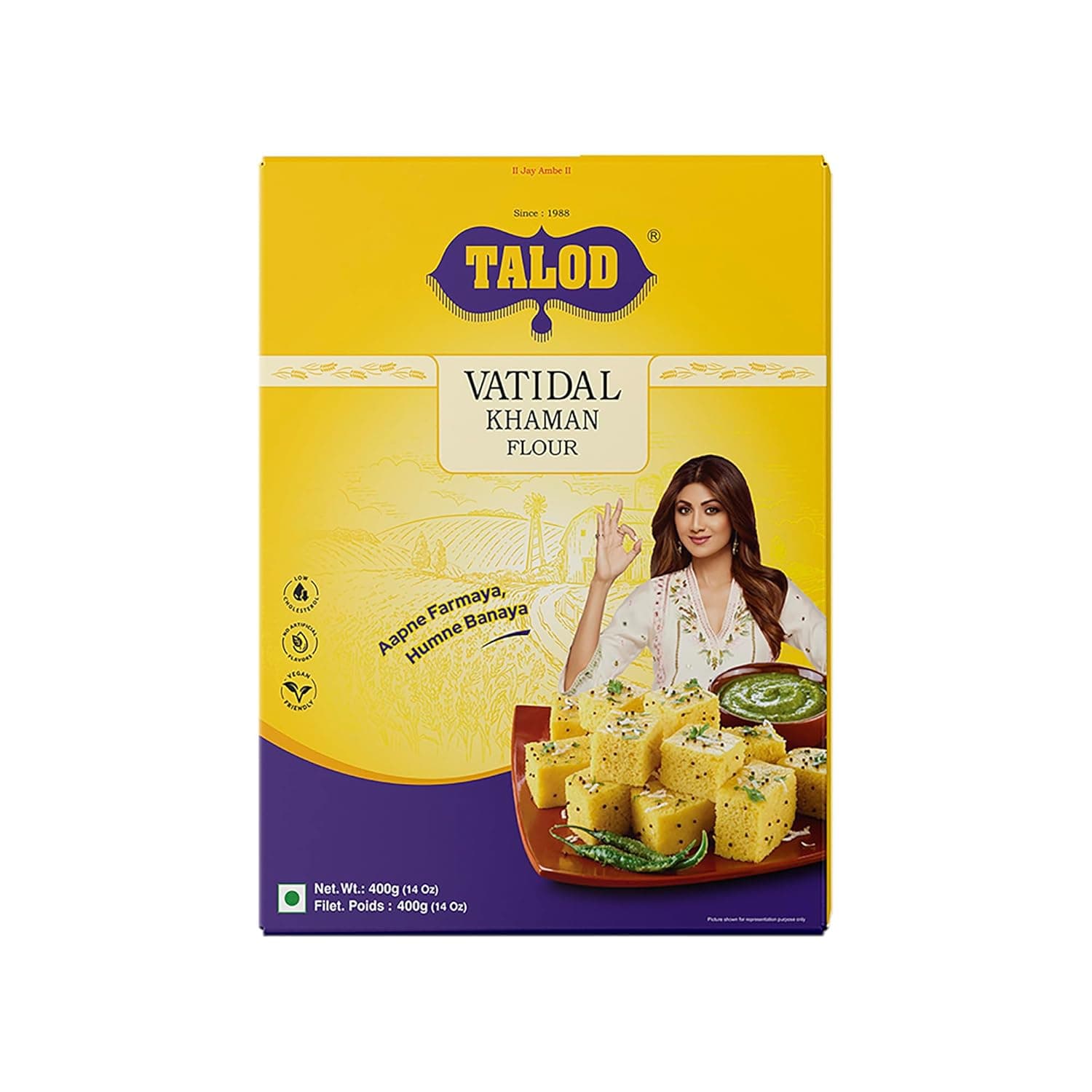 Talod Vatidal Khaman Flour - 14 OZ (400 G)